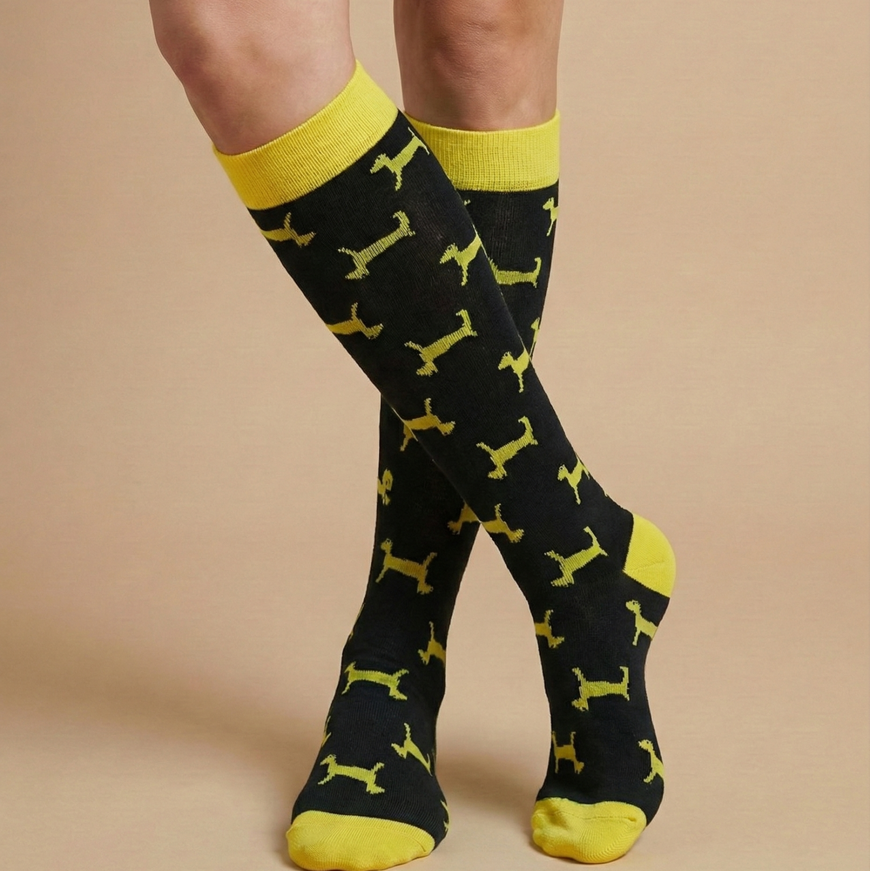 جوارب الكلب الأصفر